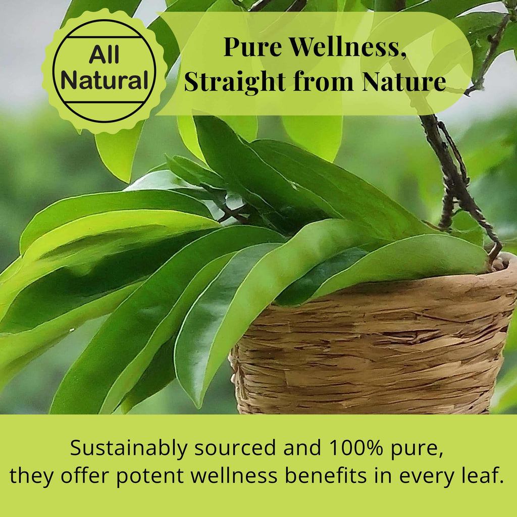 200+ Whole Dried Soursop Leaves – 2.6 oz , 100% Natural Soursop Tea (Graviola Leaves), Caffeine-Free Herbal Tea (Hoja Guanabana) Akshit