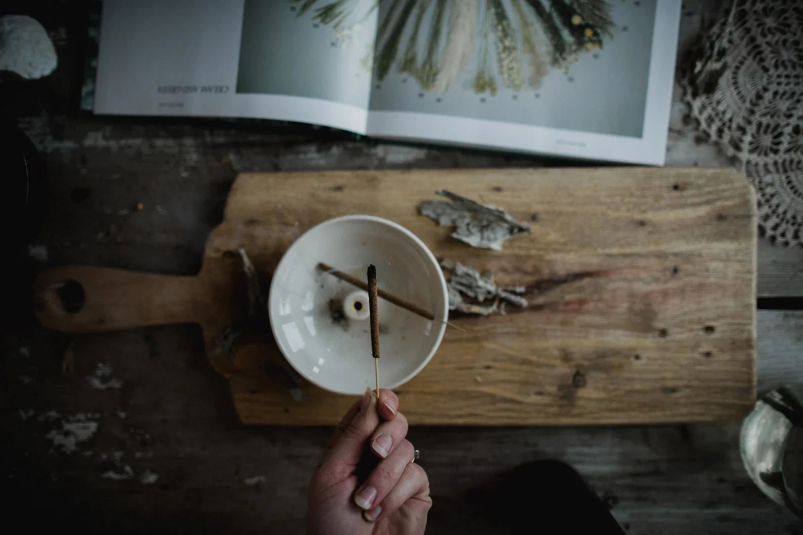 Juniper, DJ Shadow, Endtroducing Moss Music Rituals