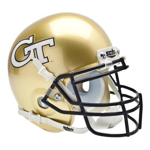 Georgia Tech Yellow Jackets College Football Collectible Mini Helmet - Picture Inside - FANZ Collectibles Fanz Collectibles