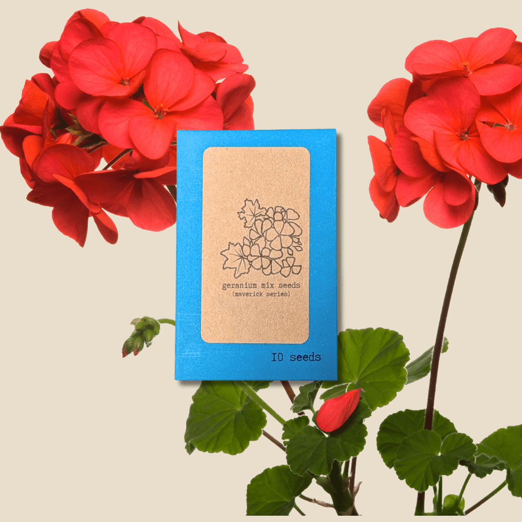 Geranium Seeds Plantflix