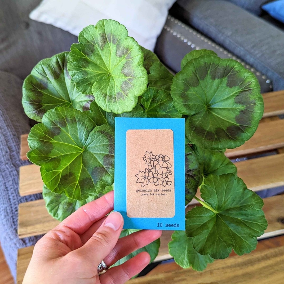 Geranium Seeds Plantflix