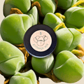 Gibbaeum Seed Mix Plantflix
