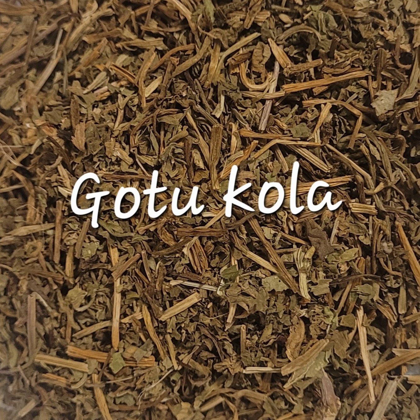 Gotu Kola | Mind Clarity & Longevity Tonic NYC Herbs®