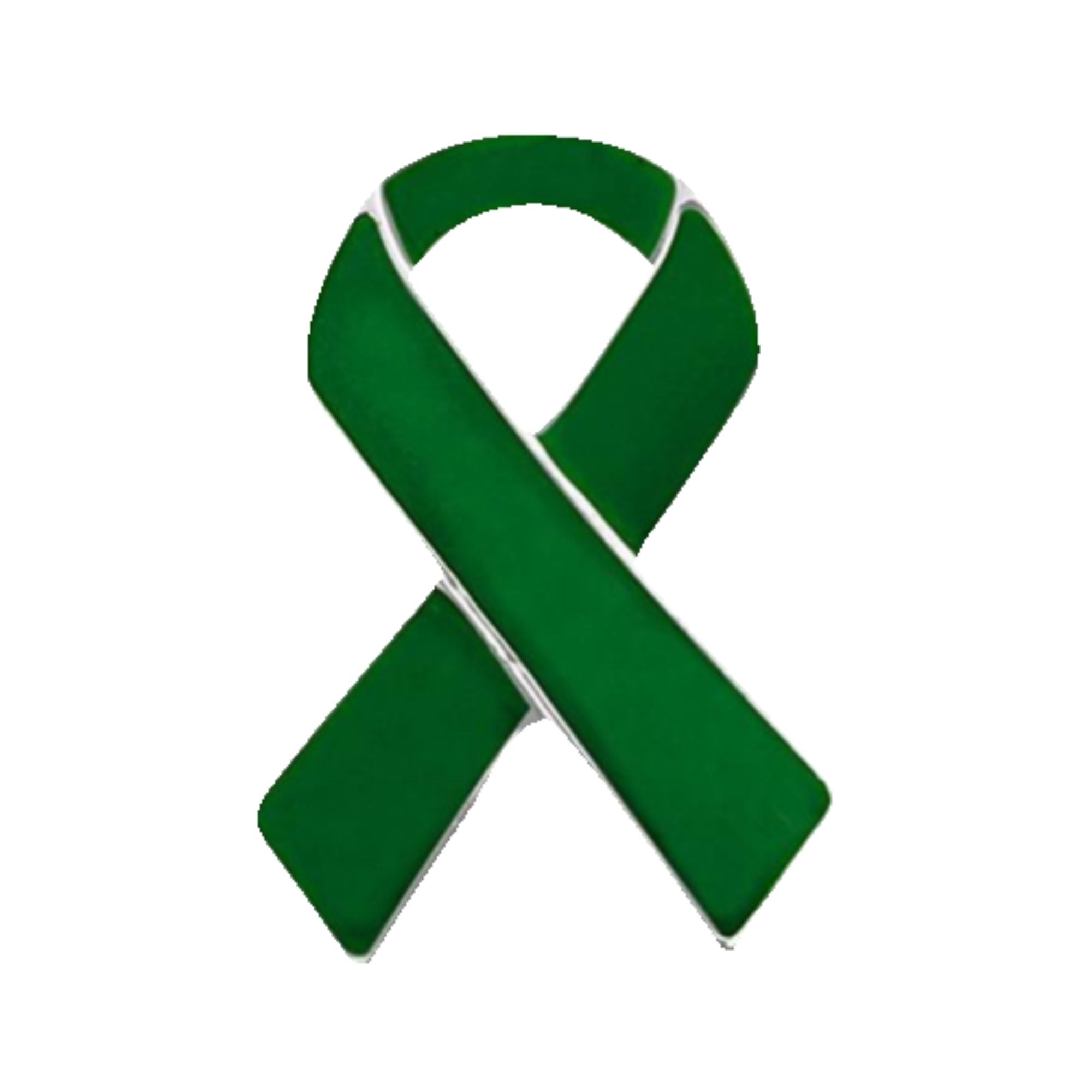 10 Pack Green Ribbon Awareness Pins The Awareness Company