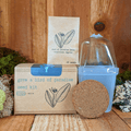 Grow a Bird of Paradise Plant Seed Kit Plantflix
