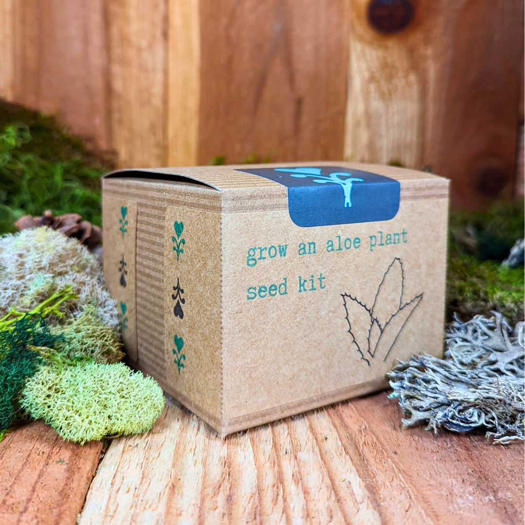 Grow an Aloe Plant Seed Kit Plantflix