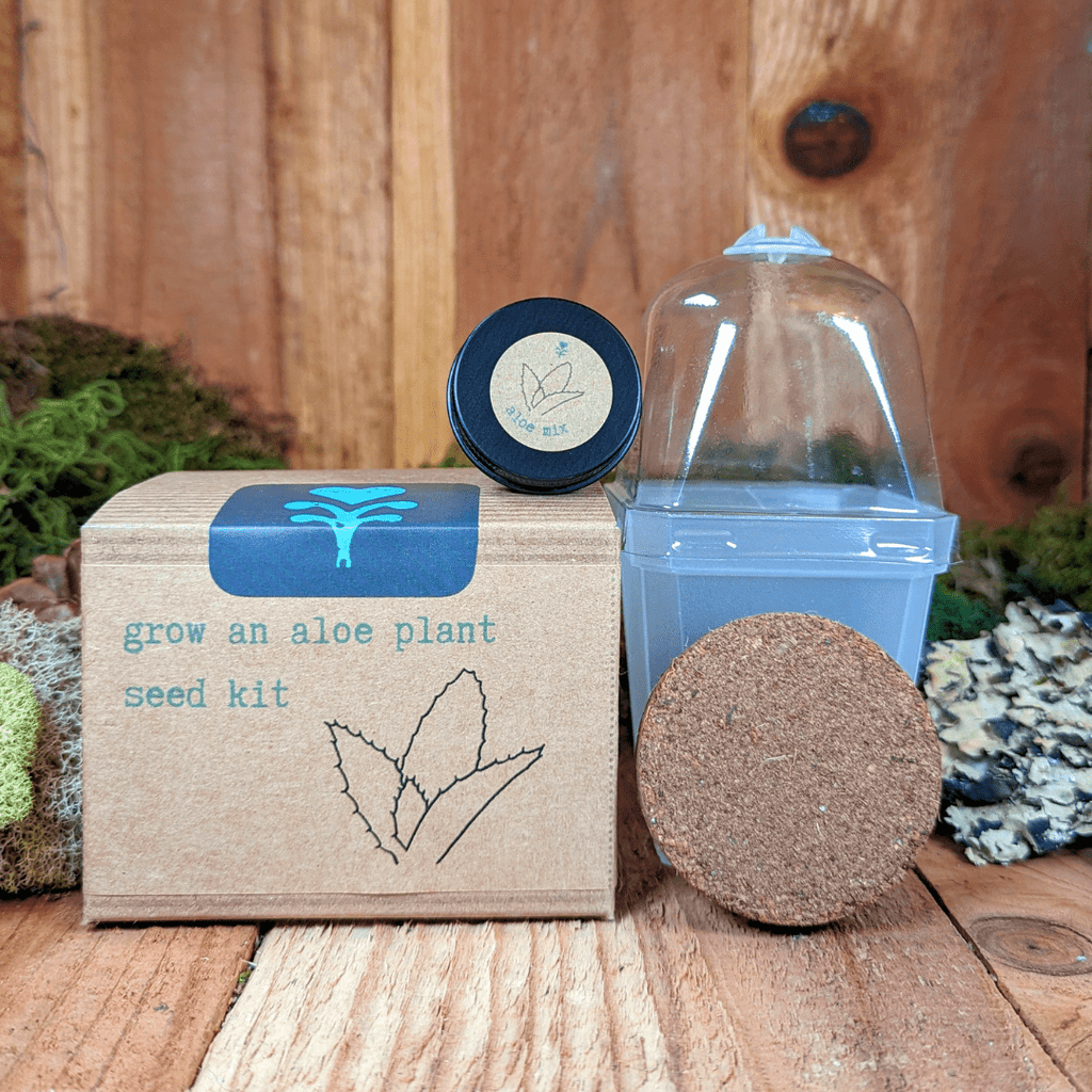 Grow an Aloe Plant Seed Kit Plantflix