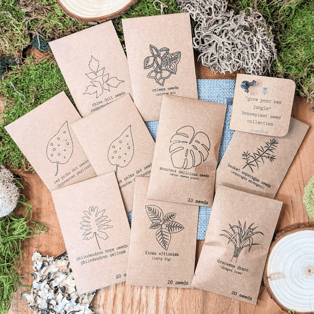 "Grow your own Jungle" Houseplant Seed Collection Plantflix