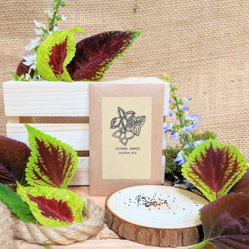 "Grow your own Jungle" Houseplant Seed Collection Plantflix
