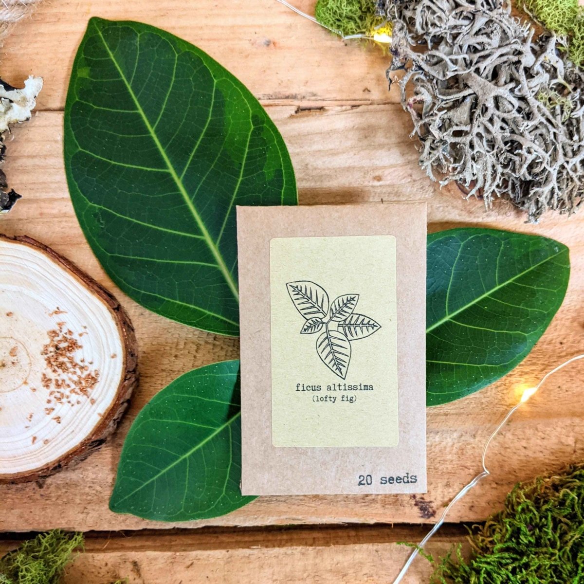 "Grow your own Jungle" Houseplant Seed Collection Plantflix