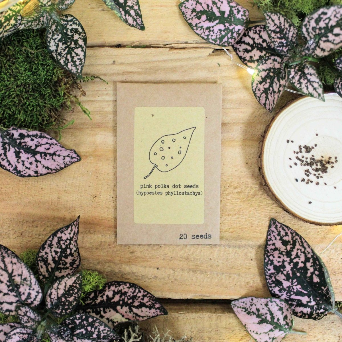 "Grow your own Jungle" Houseplant Seed Collection Plantflix