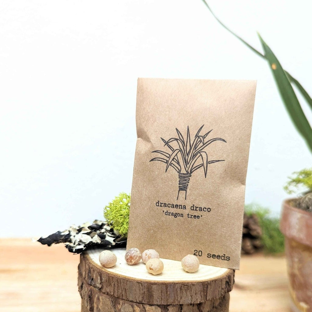 "Grow your own Jungle" Houseplant Seed Collection Plantflix