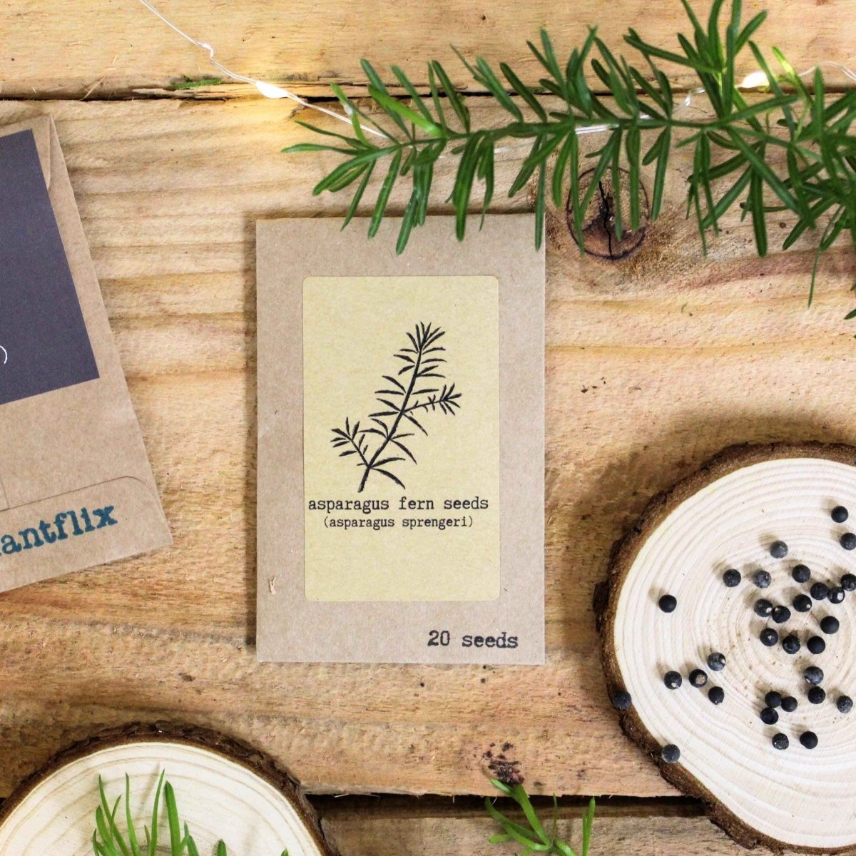 "Grow your own Jungle" Houseplant Seed Collection Plantflix