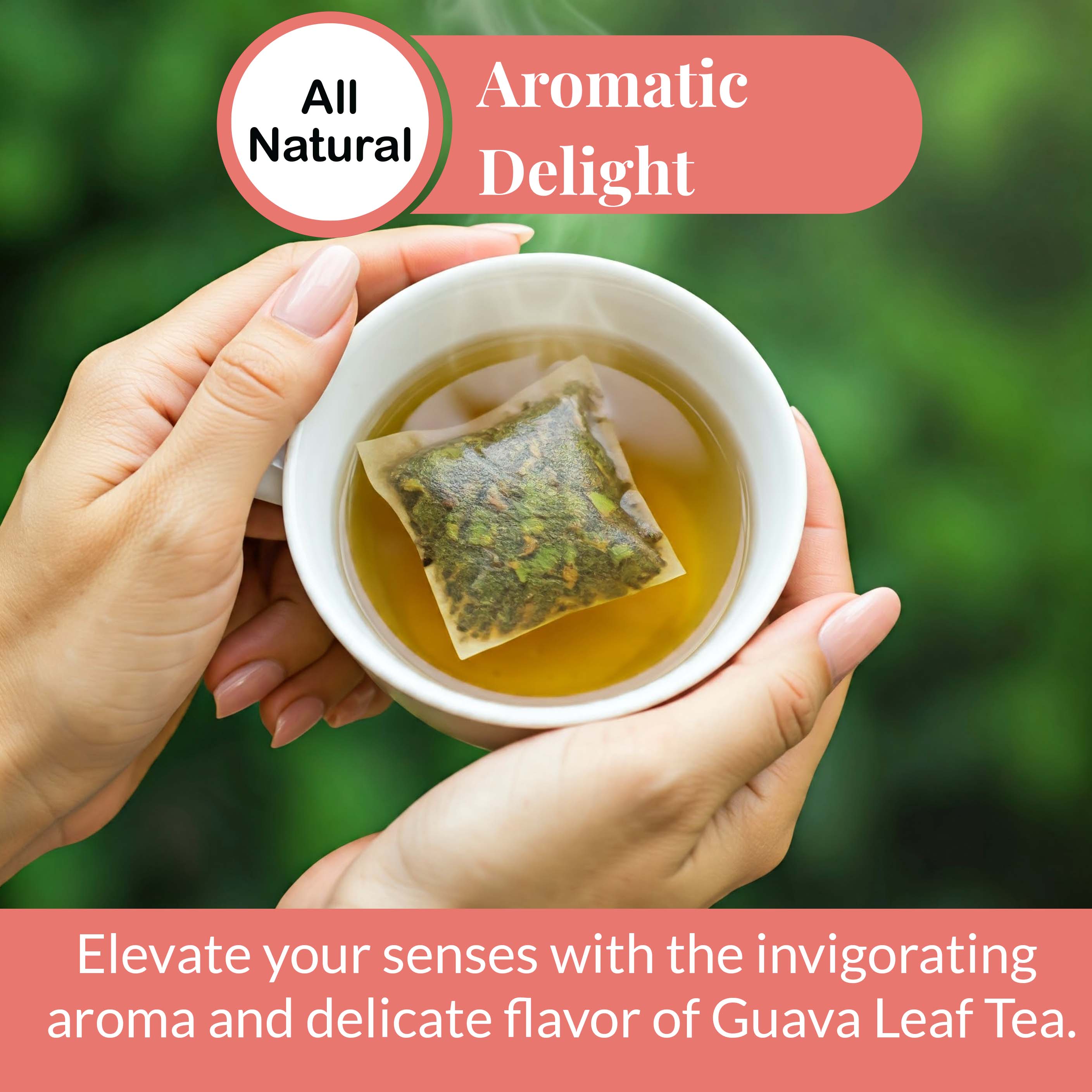Guava Leaf Tea - 50 Bags, 100% Pure Guava Leaves (Té De Hoja de Guayaba ) Stress Relieving, Herbal Tea- Non-GMO, Vegan, Caffeine-Free Akshit