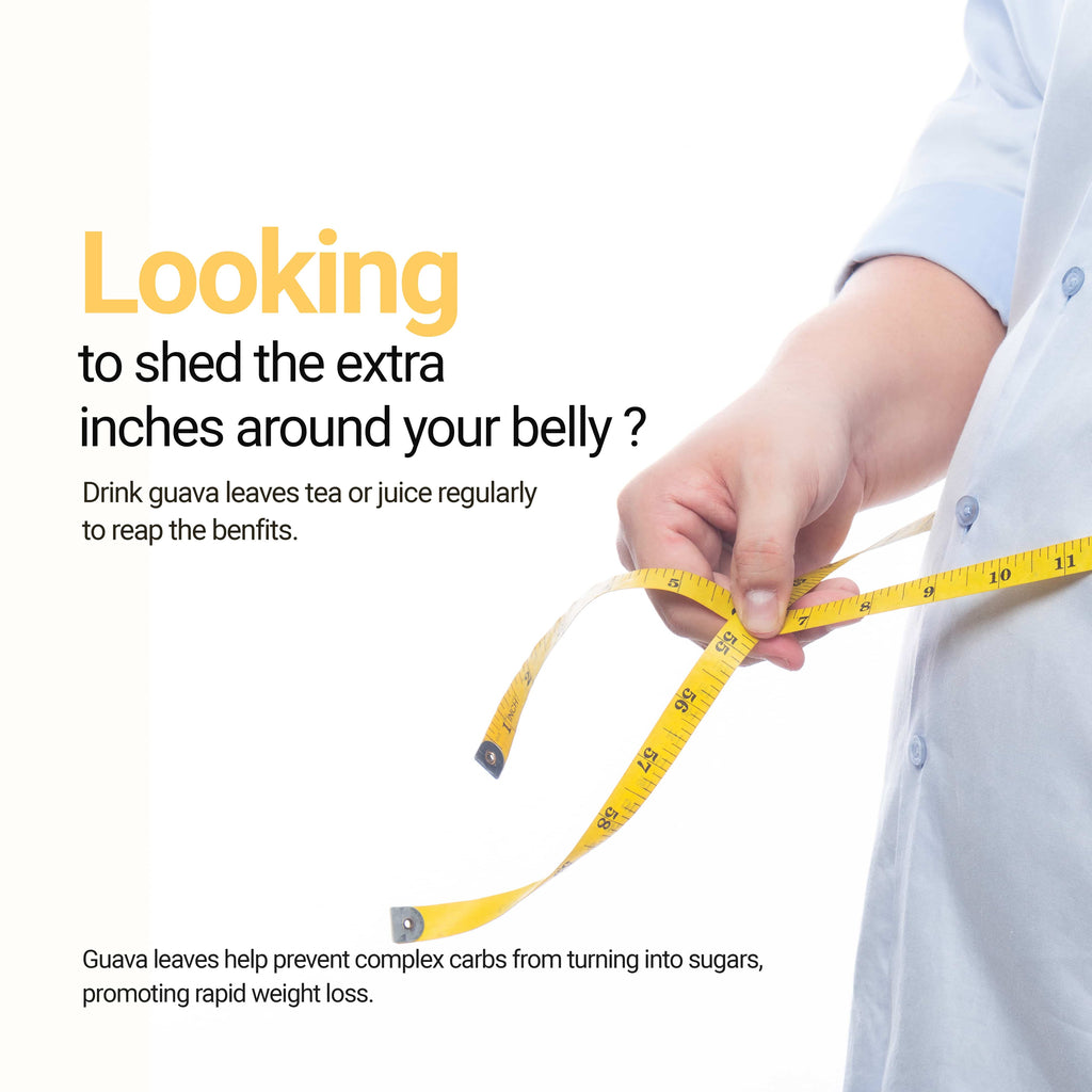 Akshit Dried Guava Leaves ( Hojas De Guayaba ) - 2.6 oz | Pure Guava Leaf for Tea | Feuilles de goyave | Caffeine free, Non GMO, Gluten-free, bio Akshit Akshit