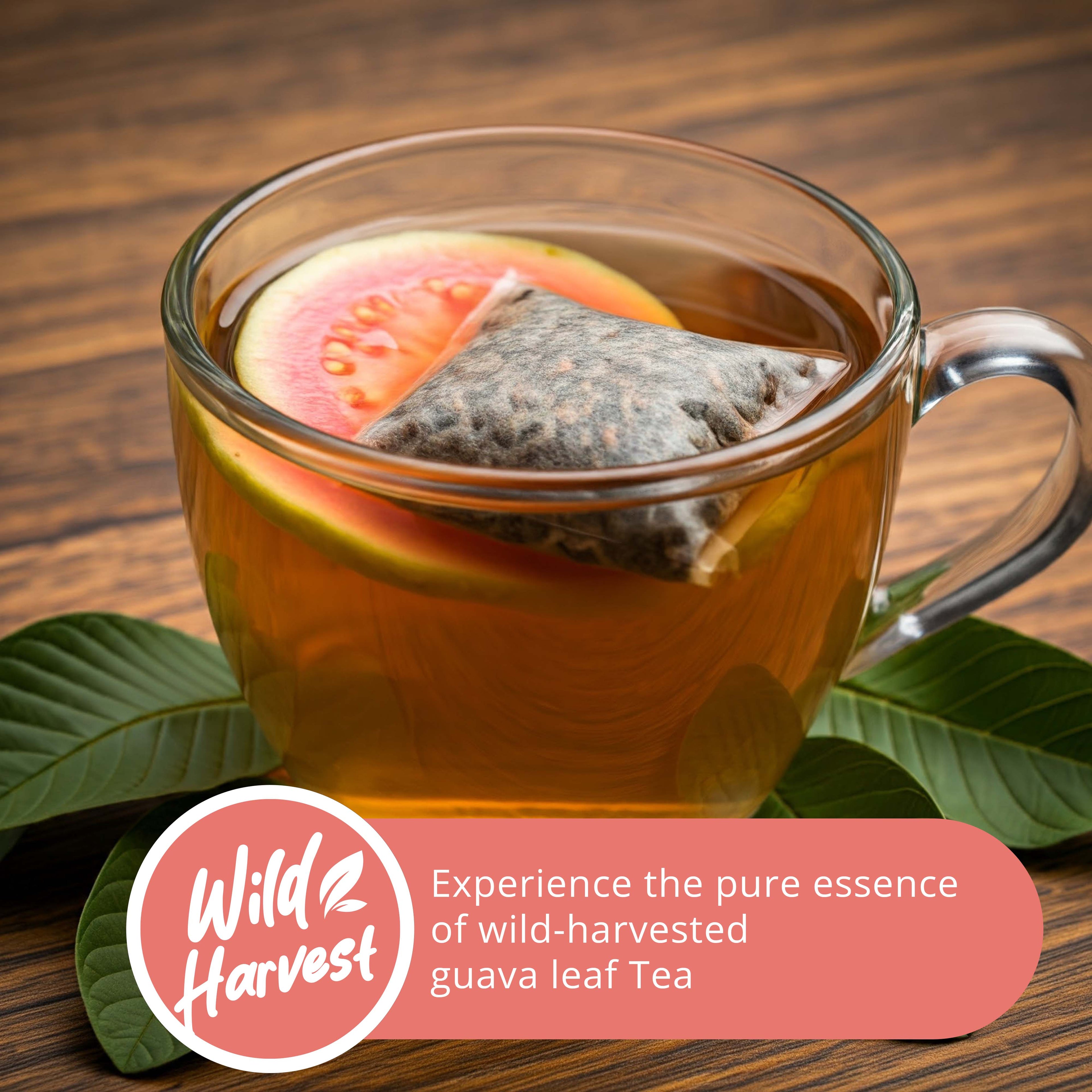 Guava Leaf Tea - 50 Bags, 100% Pure Guava Leaves (Té De Hoja de Guayaba ) Stress Relieving, Herbal Tea- Non-GMO, Vegan, Caffeine-Free Akshit