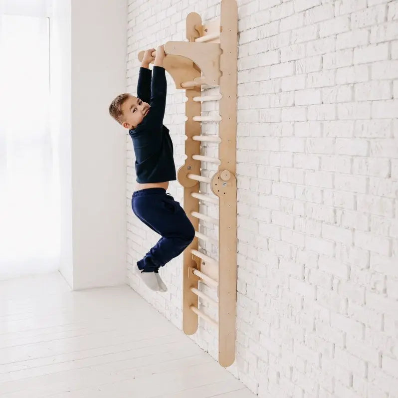 Gym Addition to the Climbing Ladders Goodevas B2B