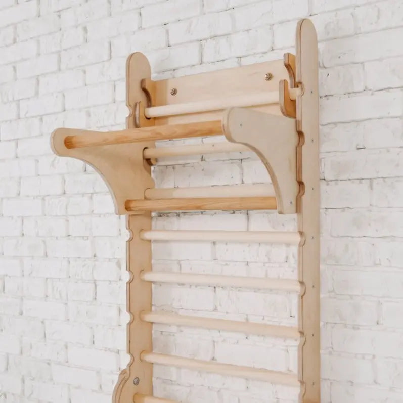 Gym Addition to the Climbing Ladders Goodevas B2B