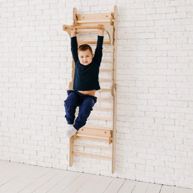 Gym Addition to the Climbing Ladders Goodevas B2B