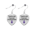Heart Shaped Testicular Cancer Awareness Earrings The Awareness Company