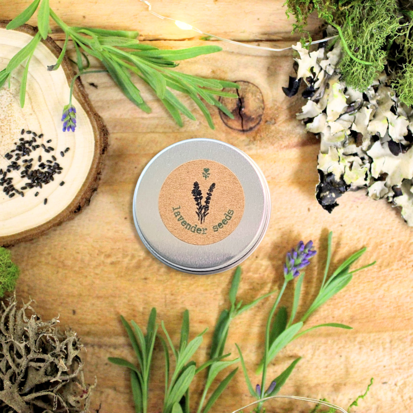 Lavender Seeds Plantflix