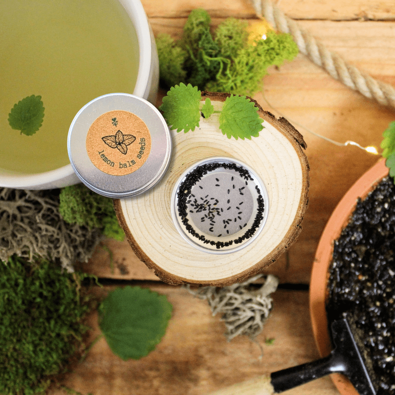 Lemon Balm Seeds Plantflix
