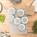 Herbal Tea Seeds Collection Plantflix