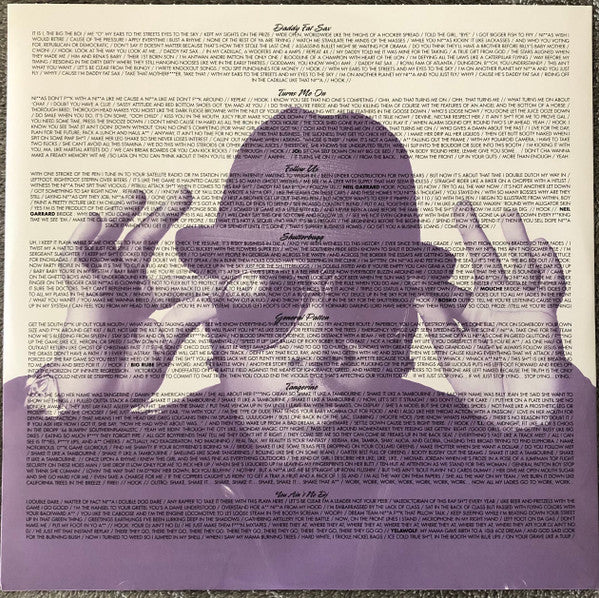Big Boi - Sir Lucious Left Foot... The Son Of Chico Dusty (2xVINYL) | Mint (M) Mint (M) Love Vinyl Records