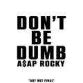 A$ap Rocky - (PRE-ORDER TBD) Don't Be Dumb (CD) | Mint (M) Mint (M) Love Vinyl Records