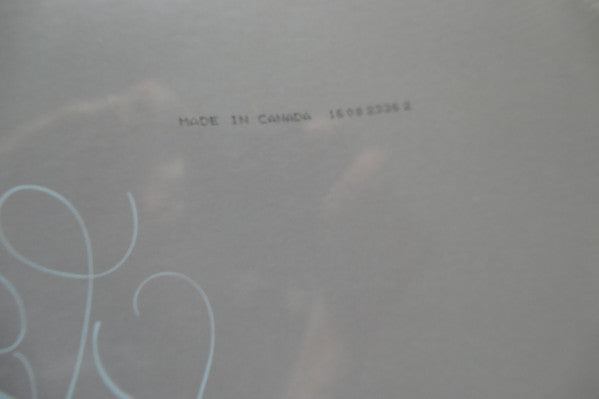 Mac Miller - The Divine Feminine (VINYL) | Mint (M) Mint (M) Love Vinyl Records