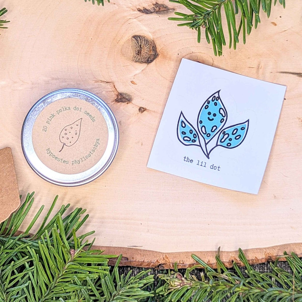 Holiday Seed Ornament Plantflix