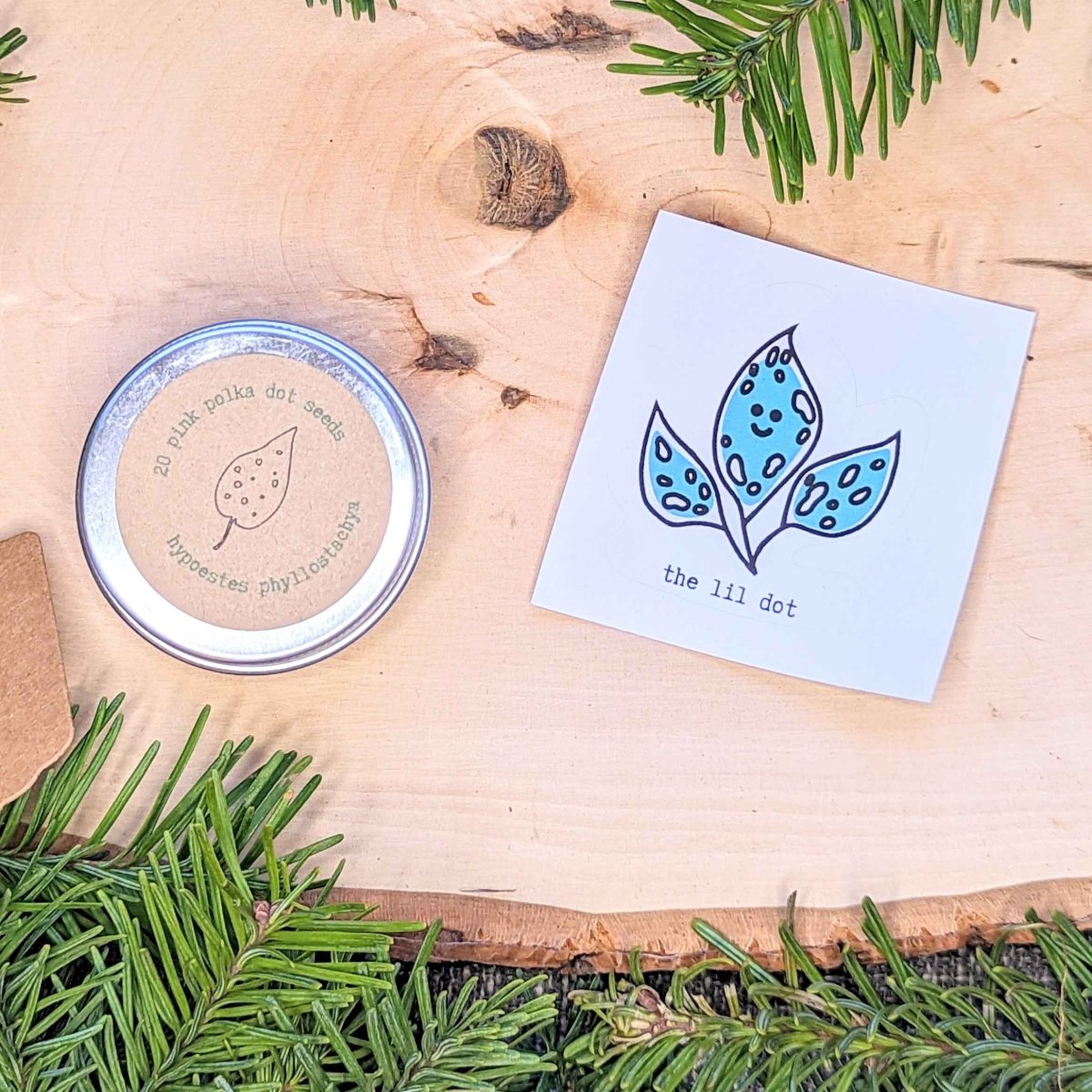 Holiday Seed Ornament Plantflix