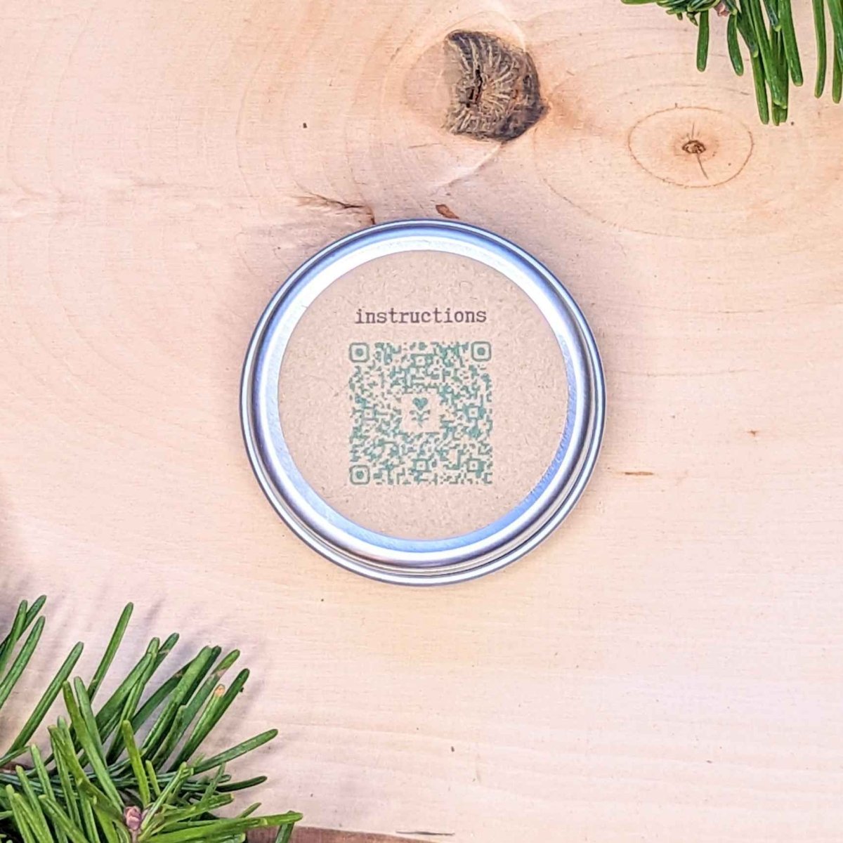 Holiday Seed Ornament Plantflix