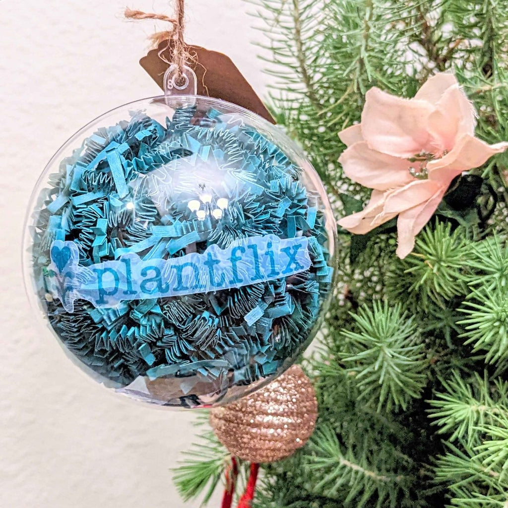 Holiday Seed Ornament Plantflix