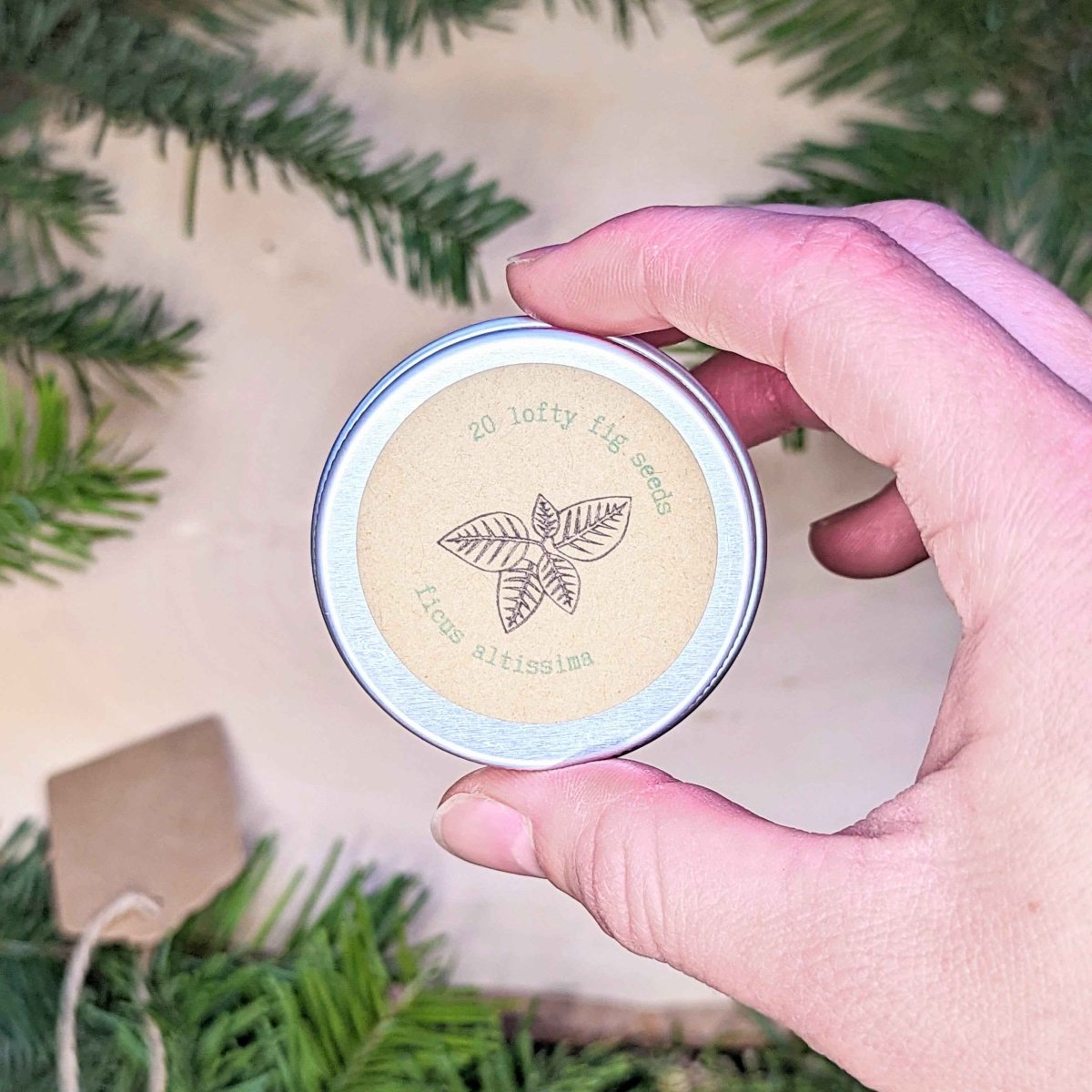 Holiday Seed Ornament Plantflix