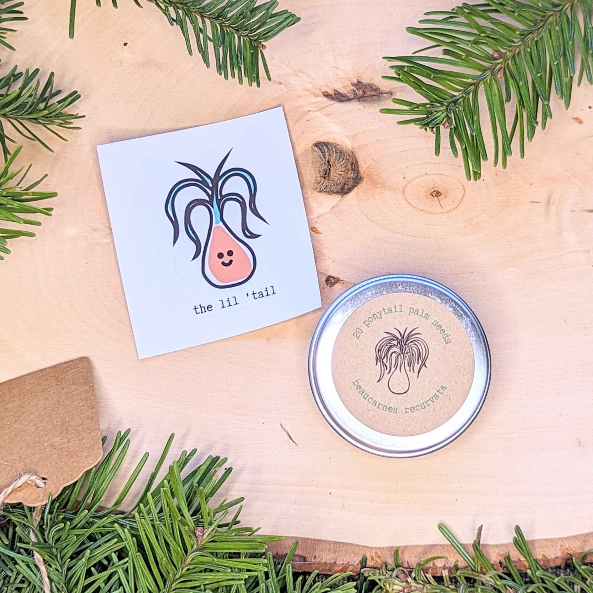 Holiday Seed Ornament Plantflix