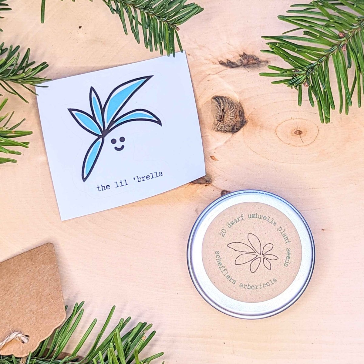 Holiday Seed Ornament Plantflix