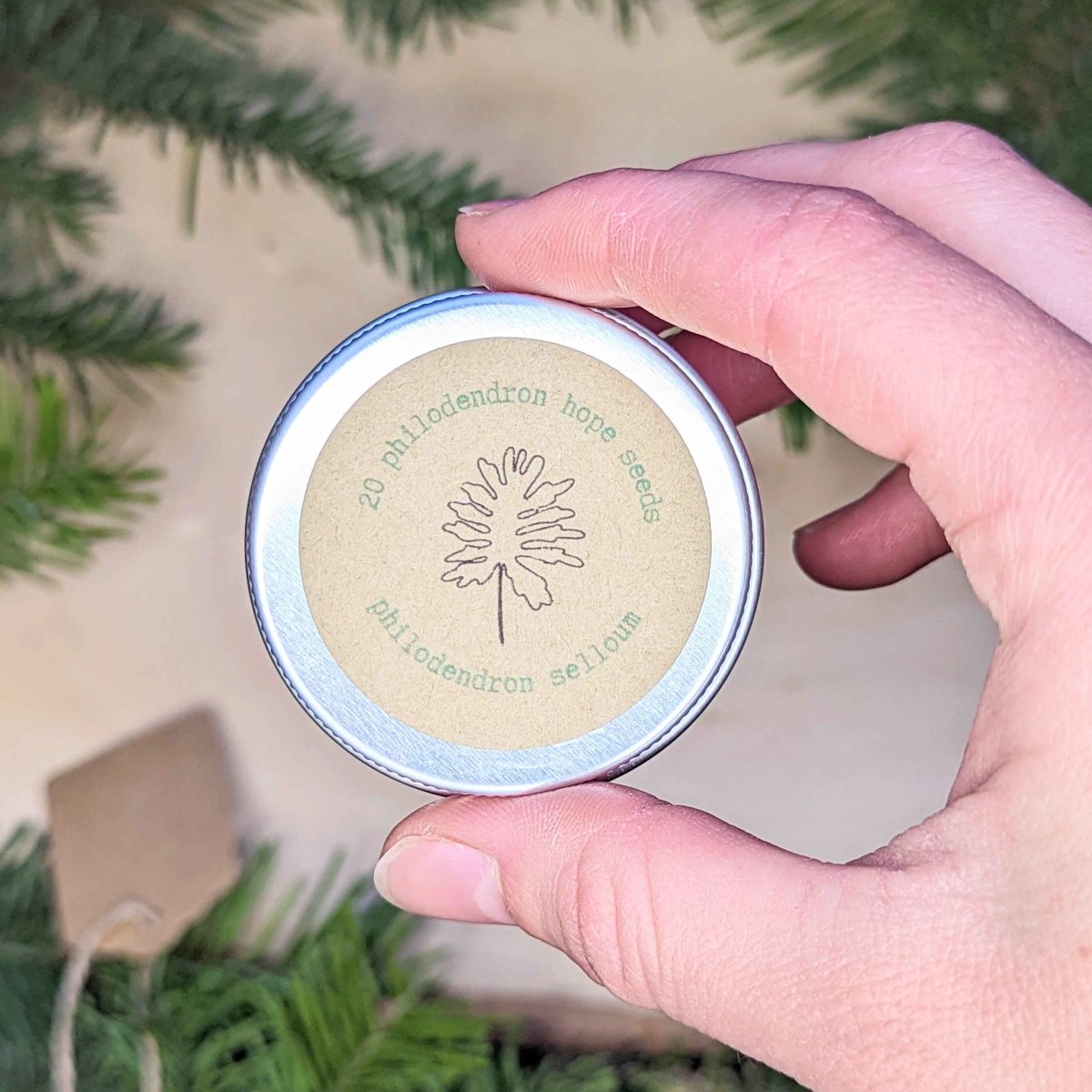 Holiday Seed Ornament Plantflix