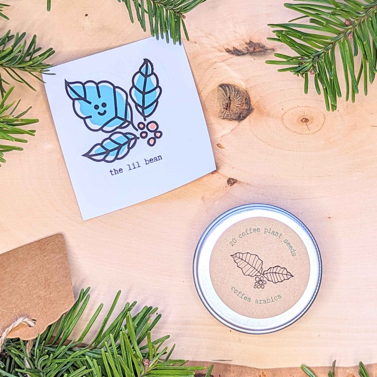 Holiday Seed Ornament Plantflix