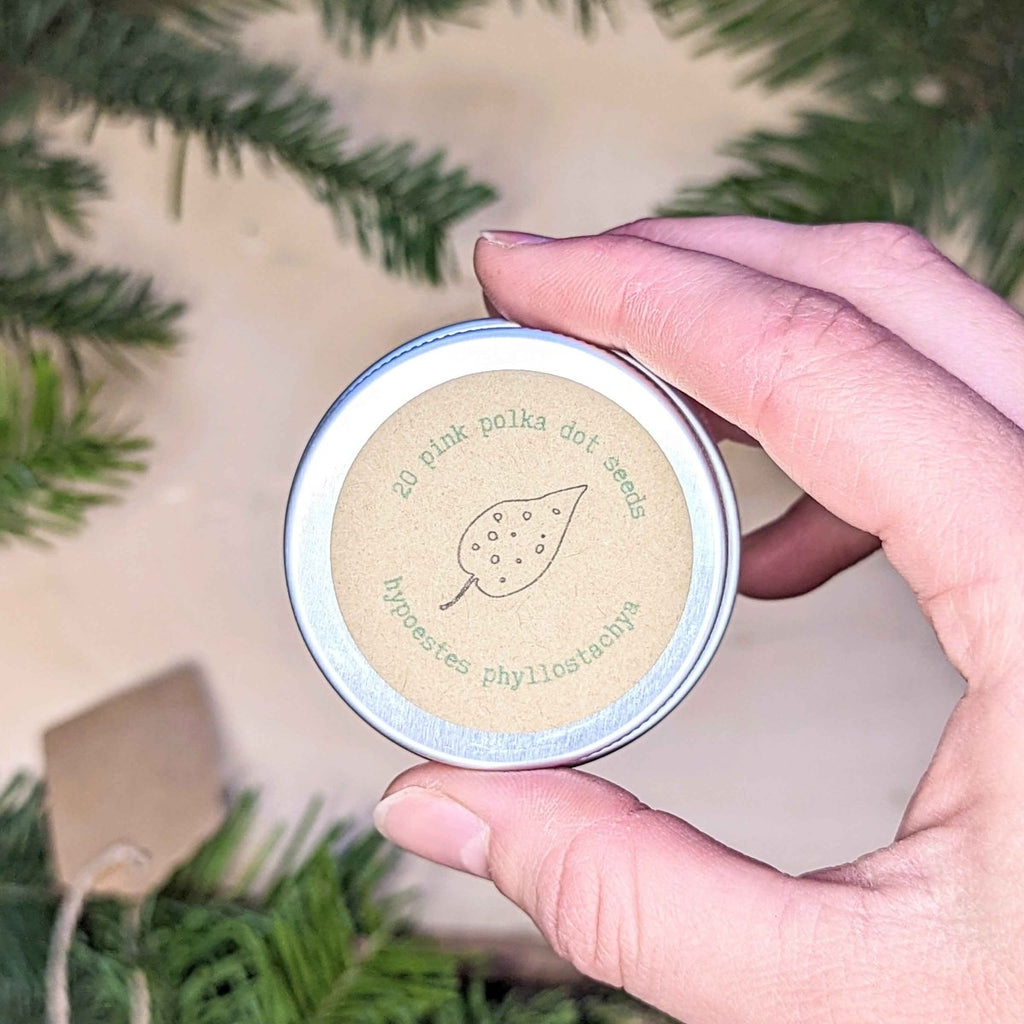 Holiday Seed Ornament Plantflix