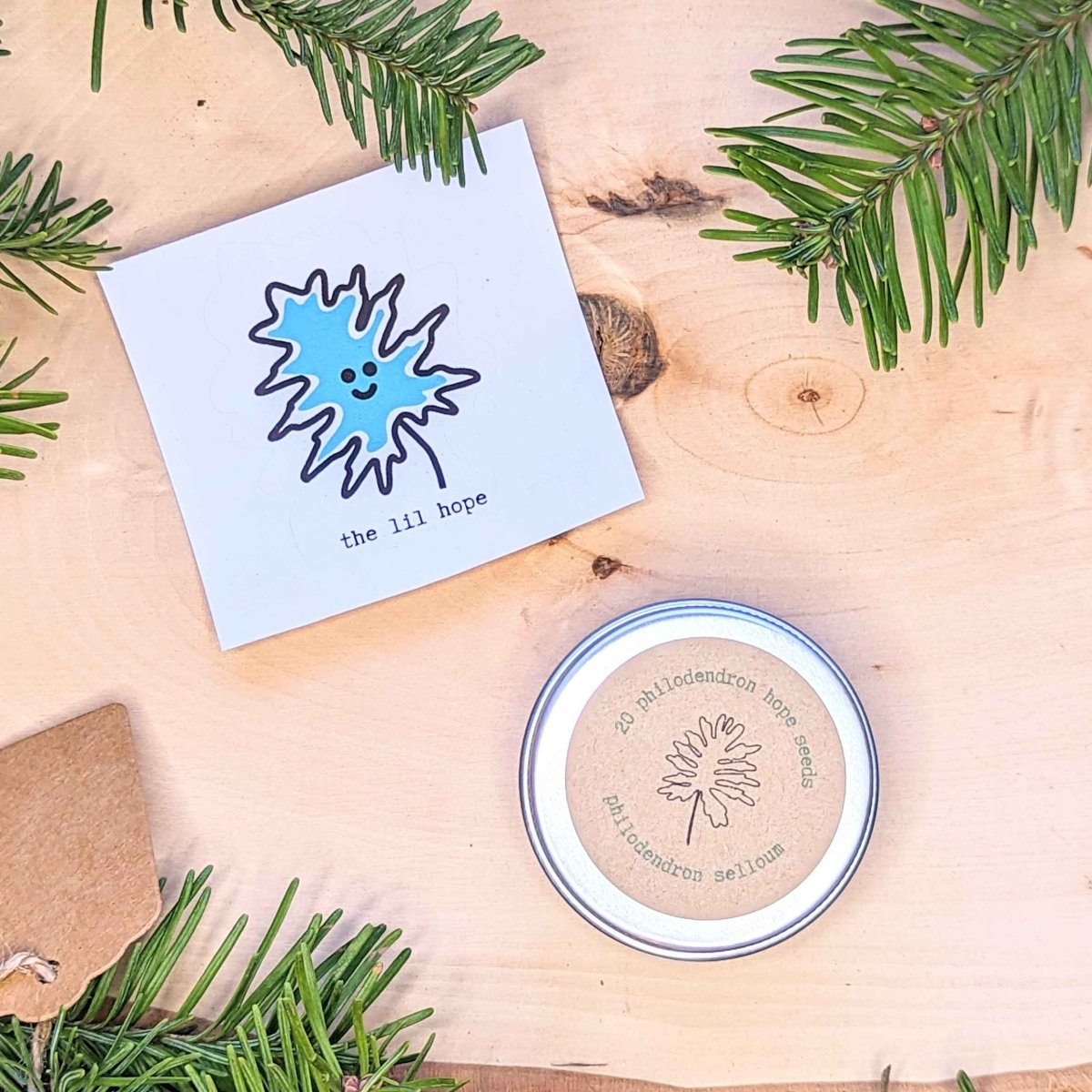 Holiday Seed Ornament Plantflix