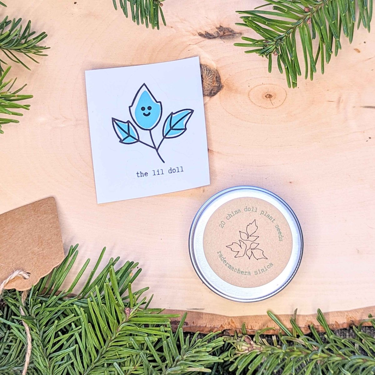 Holiday Seed Ornament Plantflix