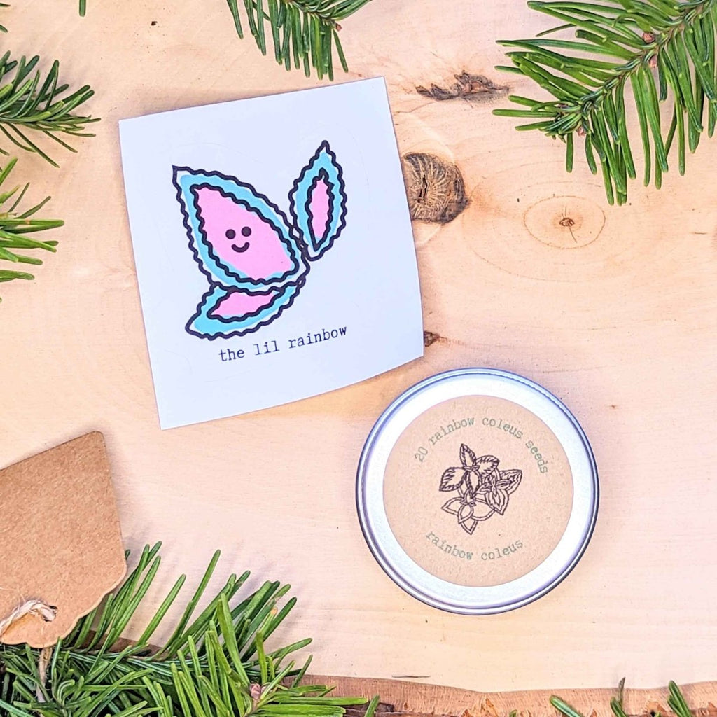 Holiday Seed Ornament Plantflix