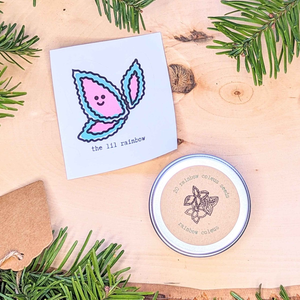 Holiday Seed Ornament Plantflix