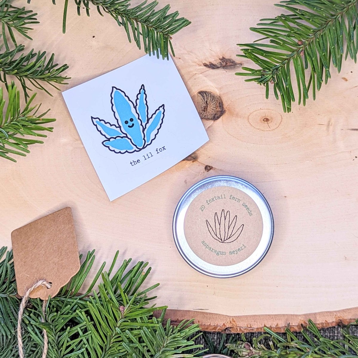 Holiday Seed Ornament Plantflix