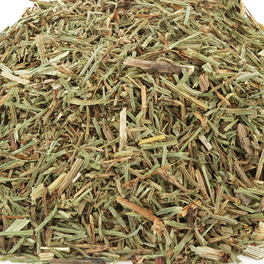 Horsetail | Hair, Skin & Bone Support NYC Herbs®