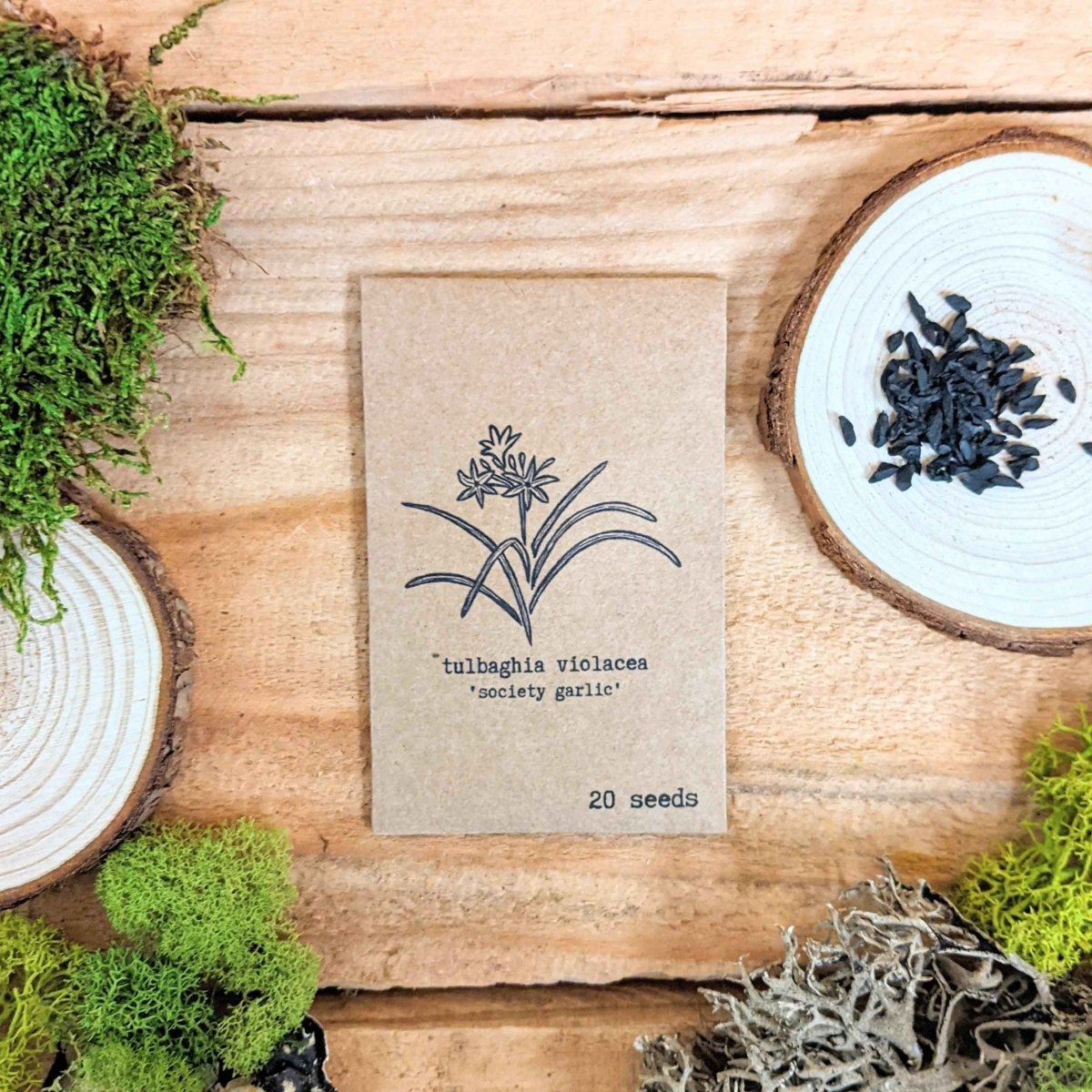 "Houseplant Newbie" Houseplant Seed Collection Plantflix