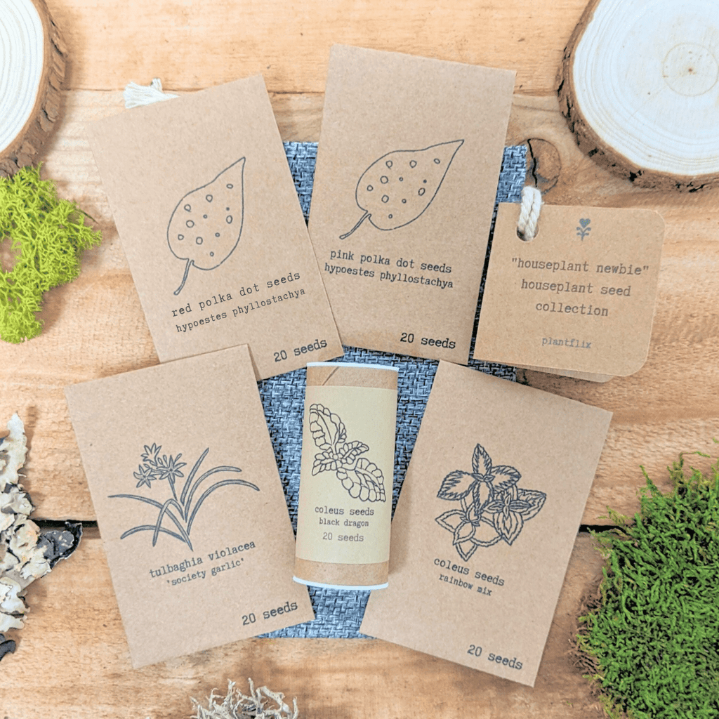 "Houseplant Newbie" Houseplant Seed Collection Plantflix