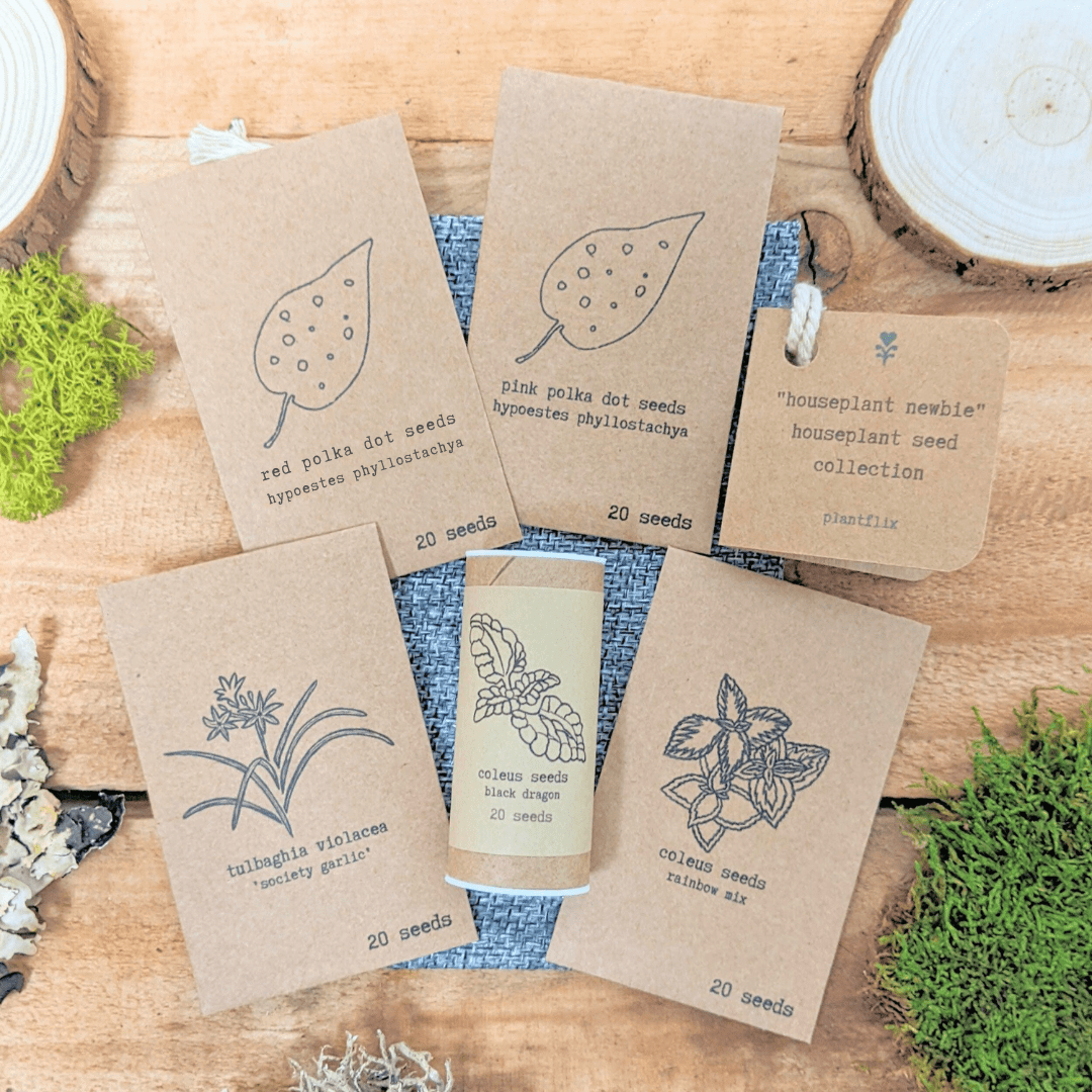 "Houseplant Newbie" Houseplant Seed Collection Plantflix