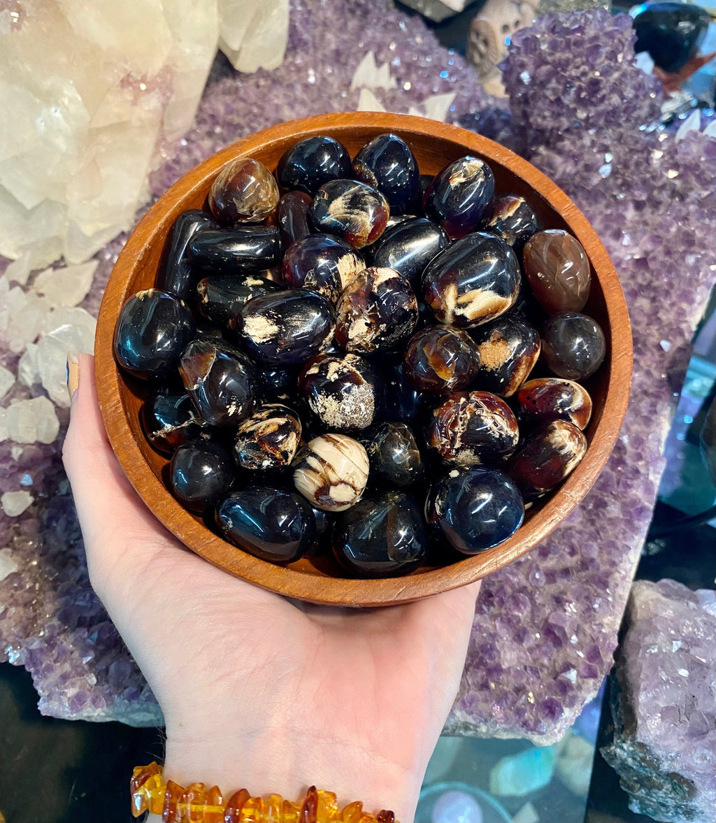 Zebra Amber Tumbled Stone - Balance & Clarity Curious Muse Crystals